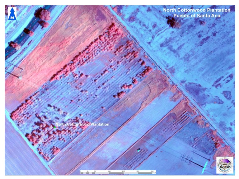 North Cottonwood Plantation Dump aerial