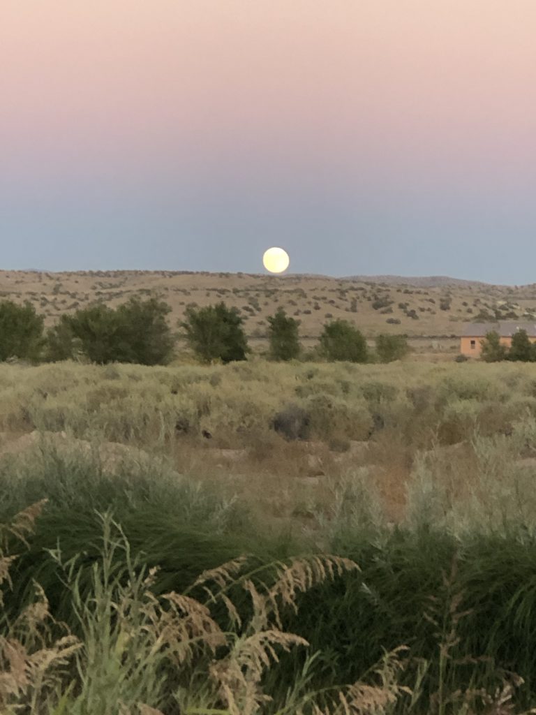 Moon rising (photo by Charlene Pino)