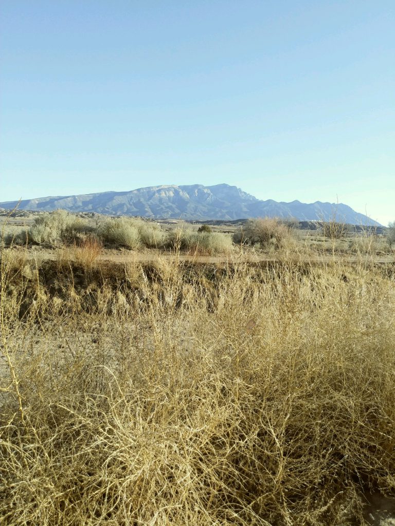 Winter Sandias and dry brush (photo by Marge Garcia)