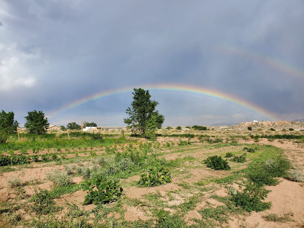 Good air quality is needed for crop and soil health and has impacts on the water cycle and views (photo by Tanya Chino)