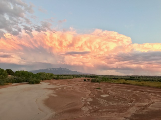 Surface water and views (photo by April Armijo)