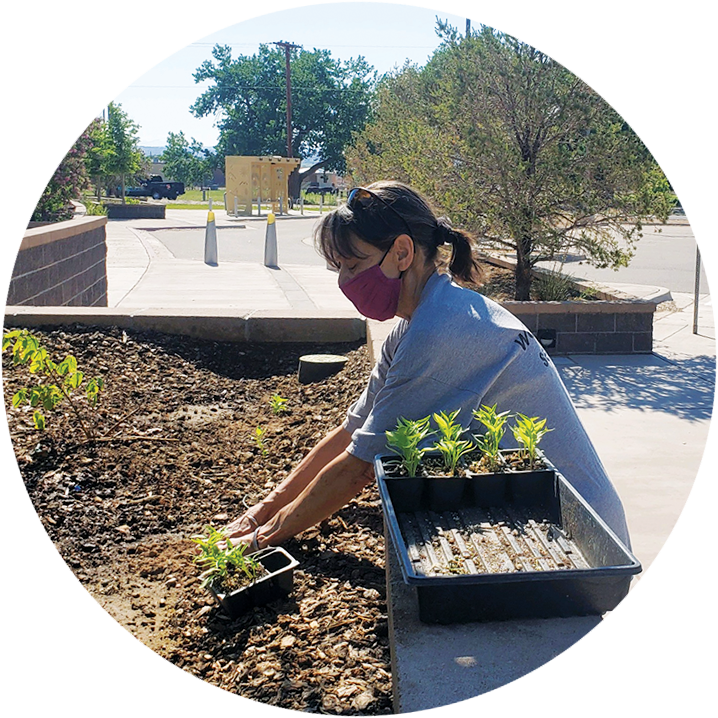 Photo of gardening